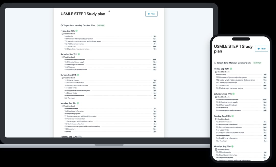Screenshot of an Achievable USMLE Step 1 study plan