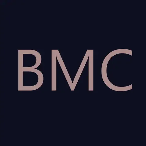 Britanny Mashal Consulting