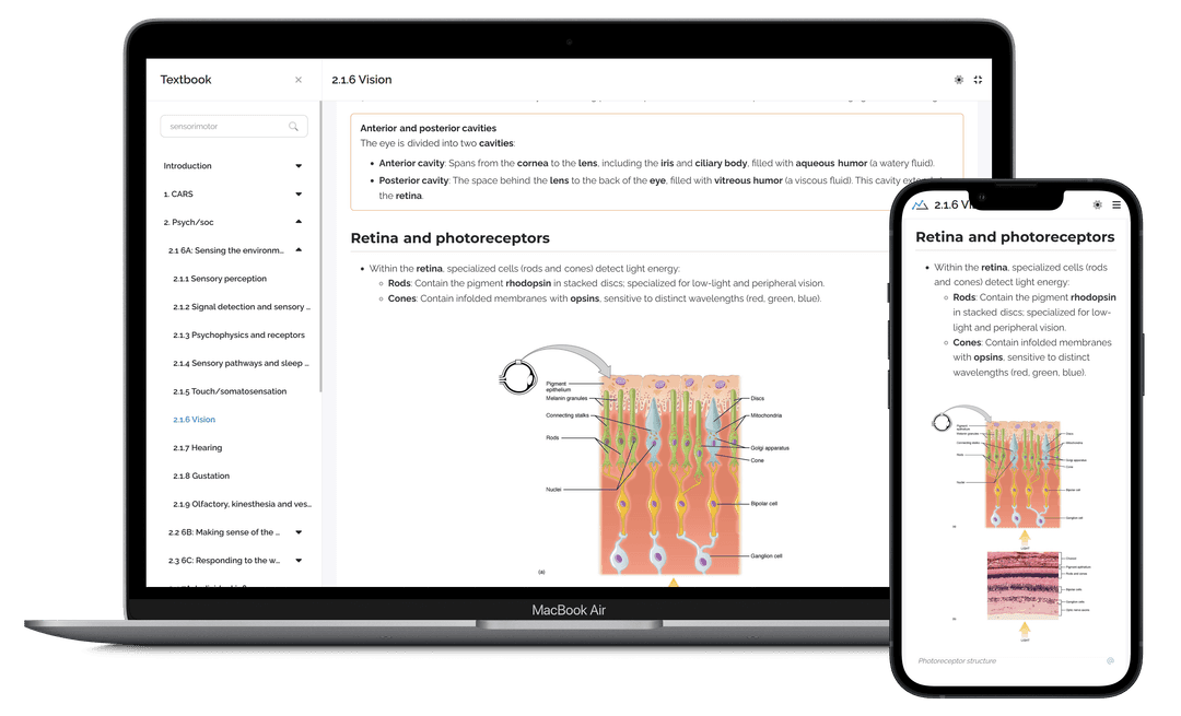 Screenshot of Achievable MCAT textbook