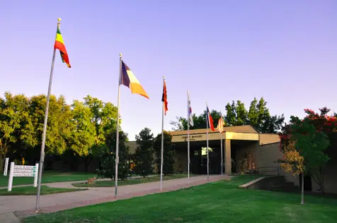 Dallas International University