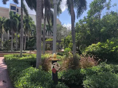 Florida SouthWestern State College