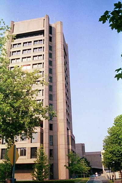 Princeton University Math