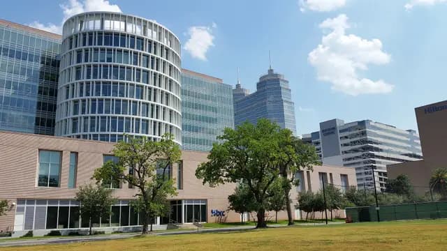 Rice University (Brown) Biomedical Engineering