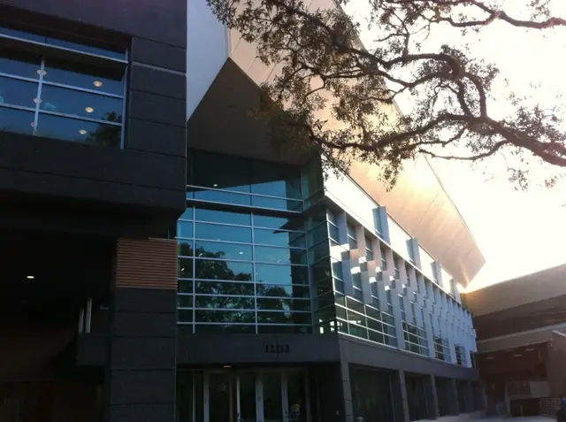 University of South Florida Accounting