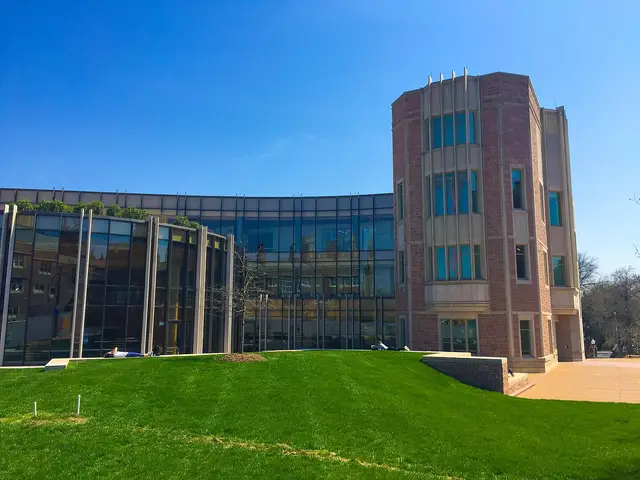 Washington University in St. Louis Social Work