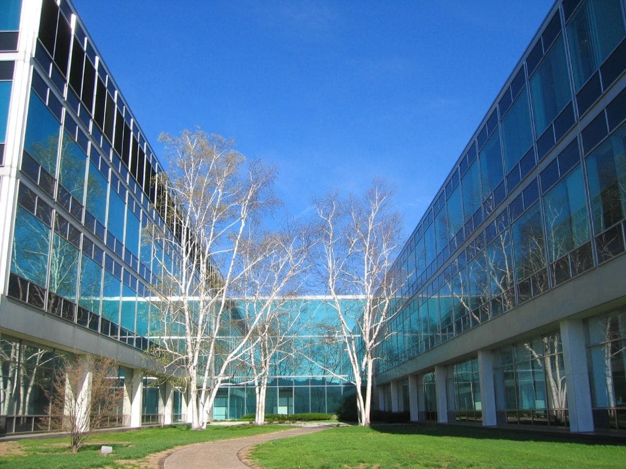 Cigna