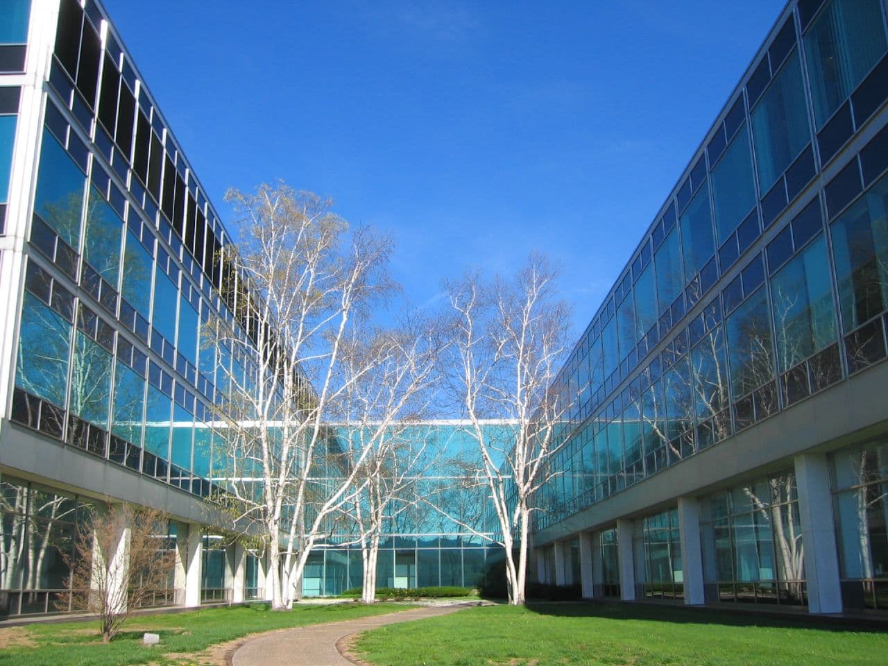 Cigna