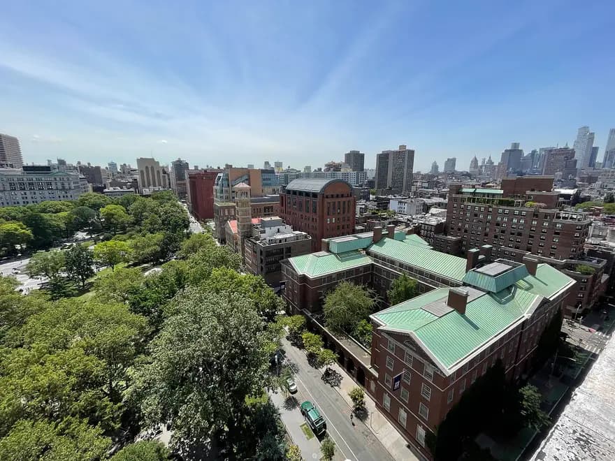 New York University