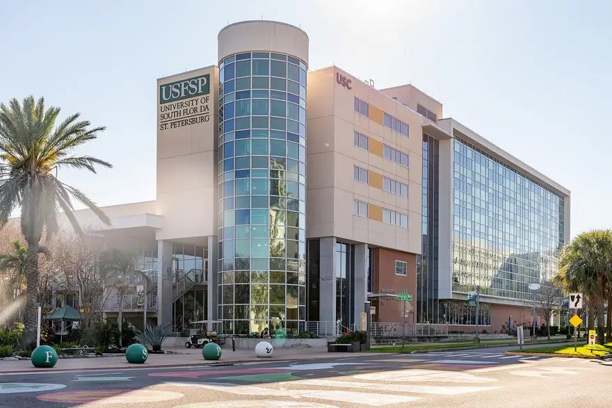 University of South Florida