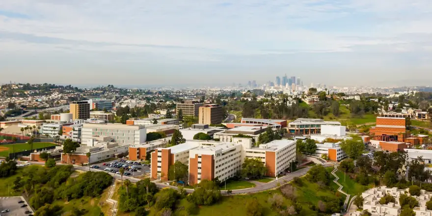 California State University Los Angeles
