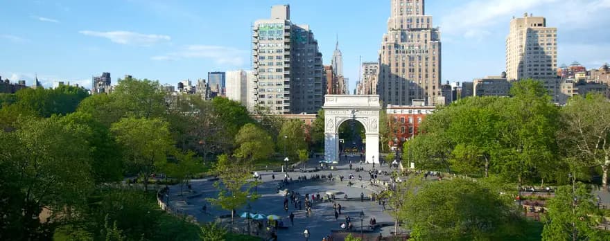 New York University