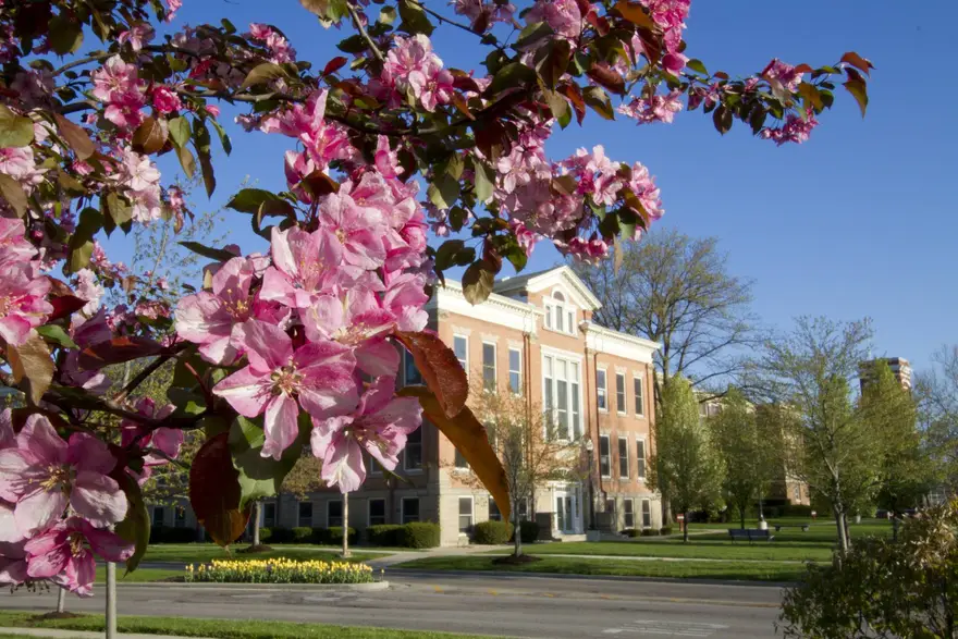 Ohio Northern University