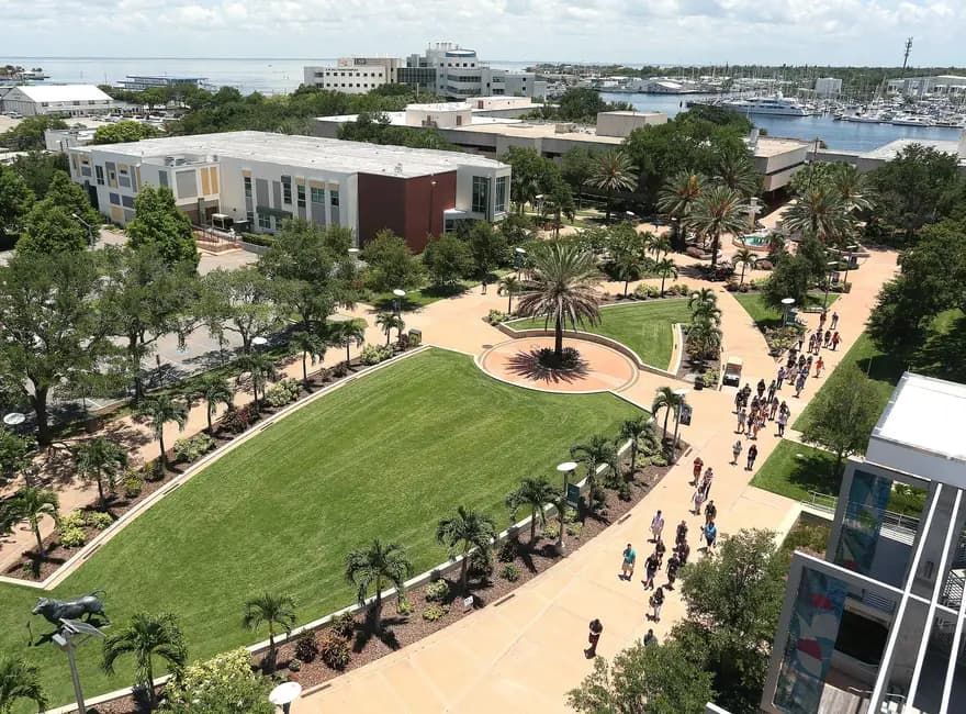 University of South Florida Saint Petersburg