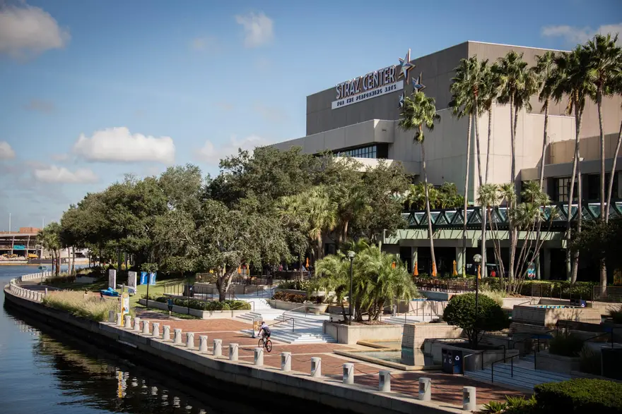 University of South Florida