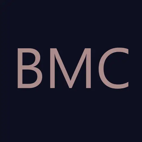 Britanny Mashal Consulting