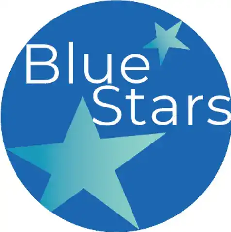 Blue Starts Admissions Consulting