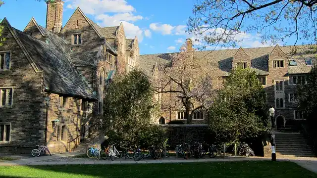 Princeton University Physics